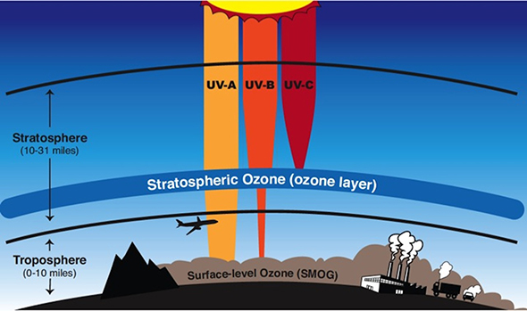 The ozone layer shields life on Earth